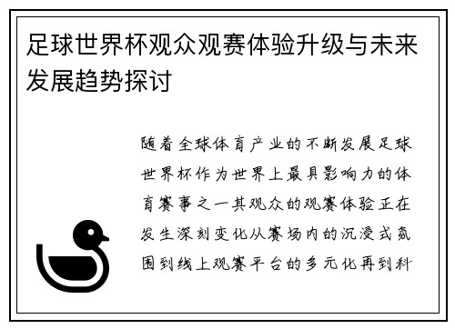 足球世界杯观众观赛体验升级与未来发展趋势探讨