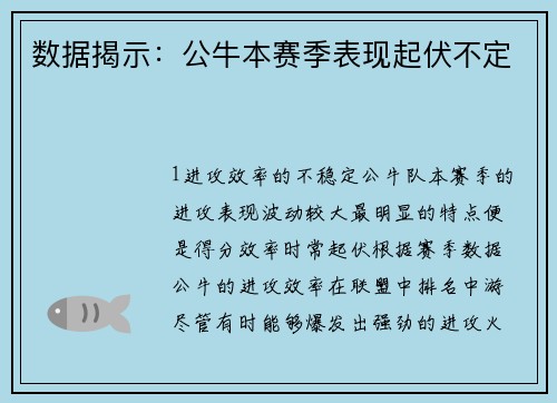 数据揭示：公牛本赛季表现起伏不定